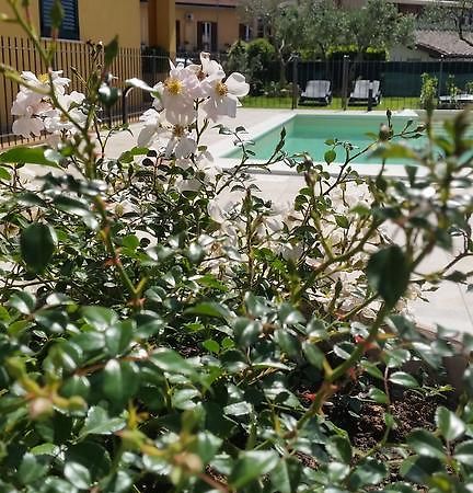 Residenza Cieloterra ξενώνας Rivotorto Εξωτερικό φωτογραφία