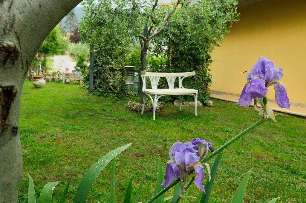 Residenza Cieloterra ξενώνας Rivotorto Εξωτερικό φωτογραφία